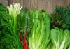 The Best Leafy Greens for Better Health