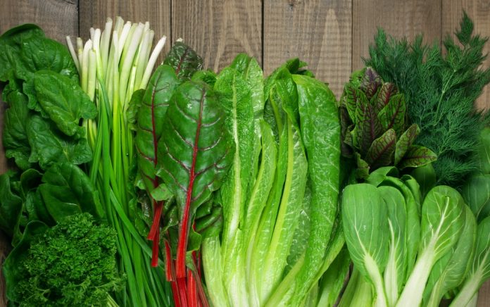 The Best Leafy Greens for Better Health The Best Leafy Greens for Better Health