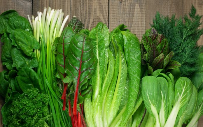 The Best Leafy Greens for Better Health